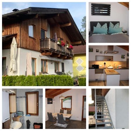 Ferienwohnung Waldheim ไกรเฟนบวร์ก ภายนอก รูปภาพ